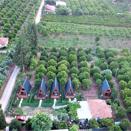 Hotel Asi Garden Evleri *